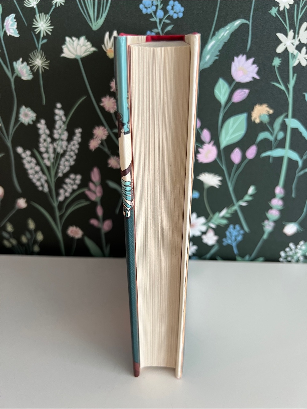 The Swifts: A Dictionary of Scoundrels, written by Beth Lincoln Hardcover book - Picture 6 of 17